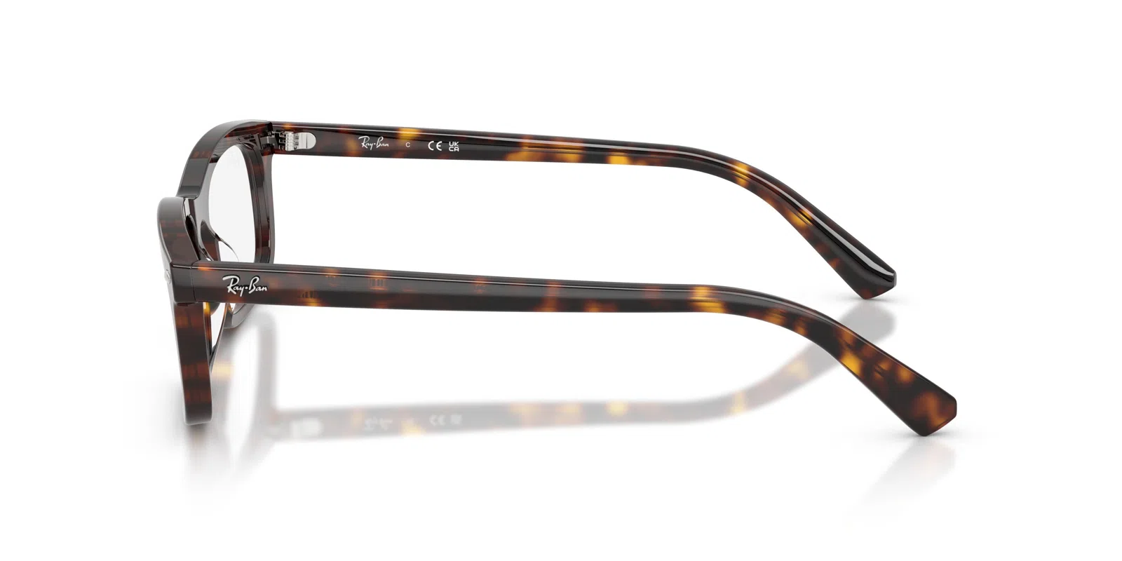 Ray-Ban 5450 Eyeglasses - view 8